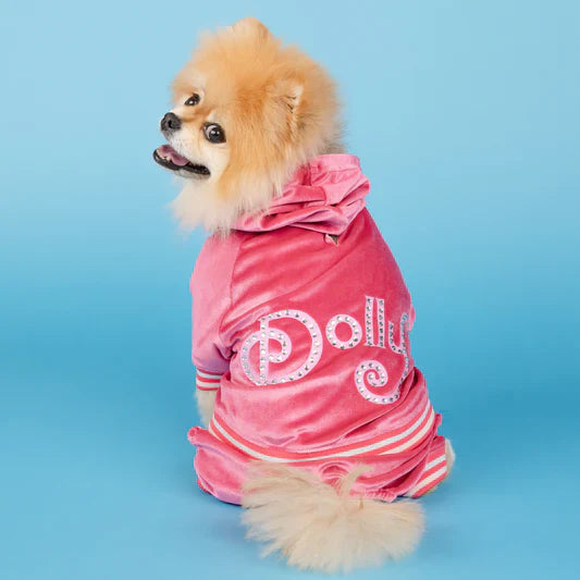 Pet Apparel